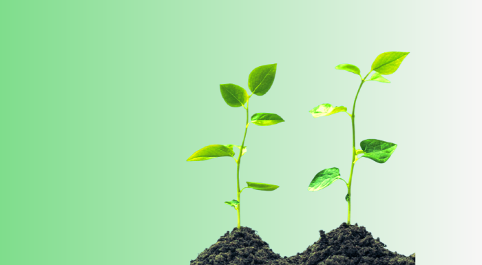 2plant ! Indiapollution.com