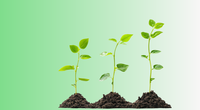 3plant ! Indiapollution.com